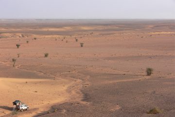 Roving the Sahara