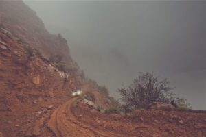 Desert Trip