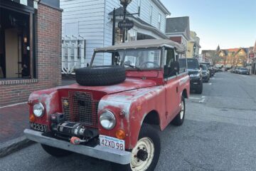 Murphy IMG 5901