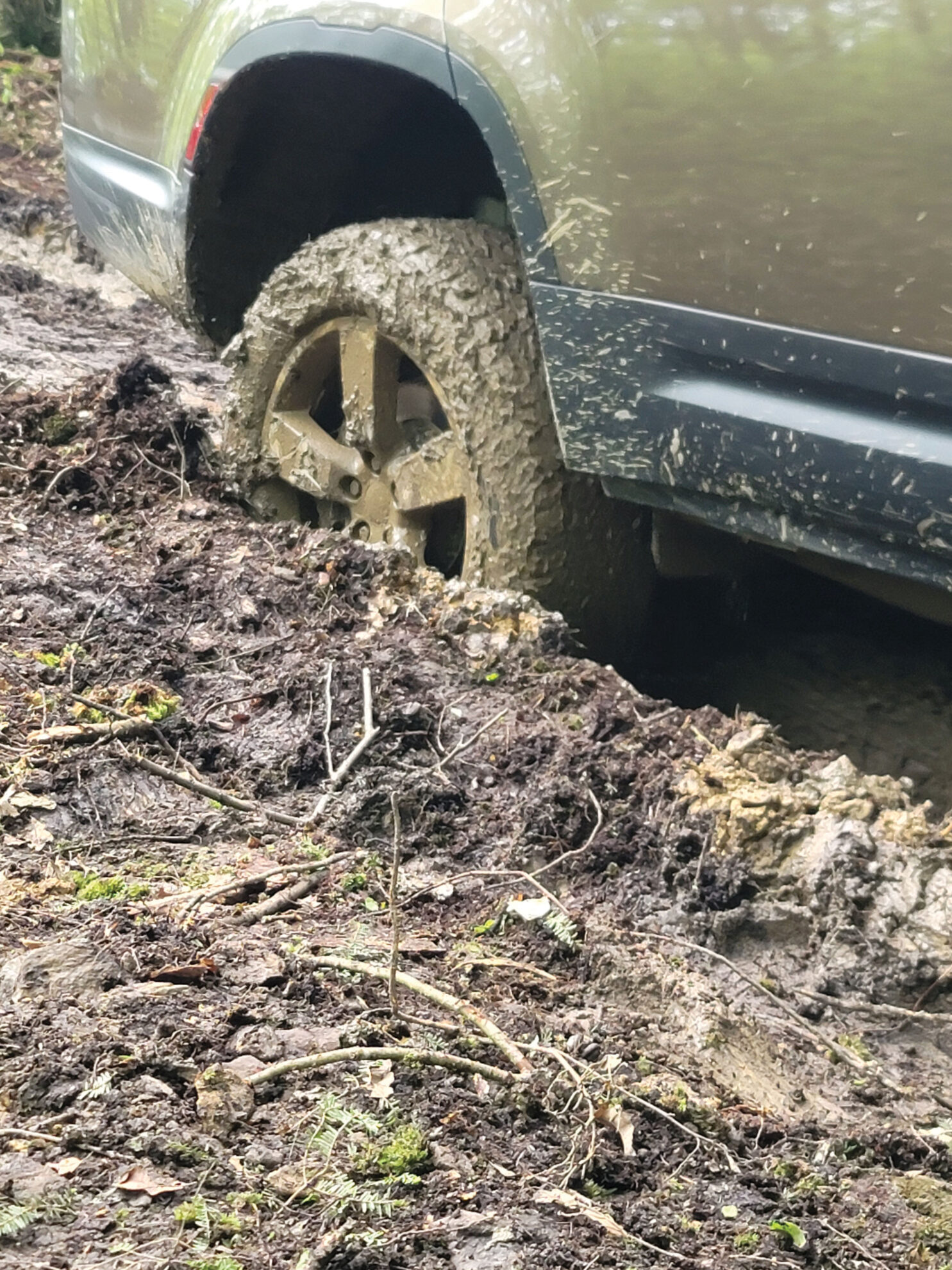Behind the Steering Wheel - Fall 2025 - Rovers Magazine