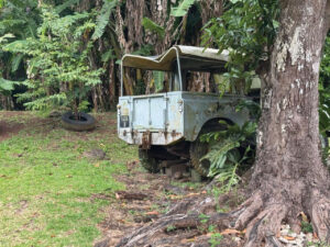 Whaling Its never over