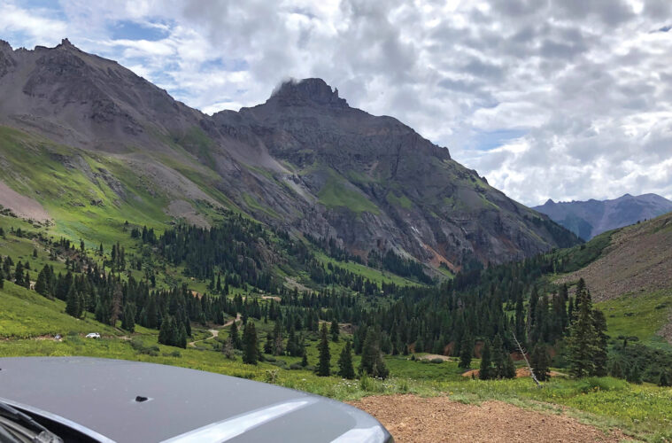 ANARC News IMG 20260112 155846