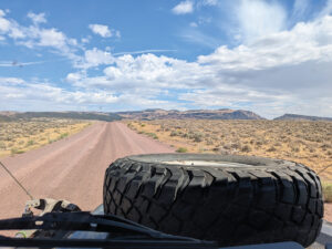 Forever Young PXL 20250822 162036760.RAW 01.MP.COVER