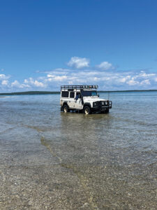 Wintergreen 1A498C31 F744 42C8 83B7 791F93DCAF26