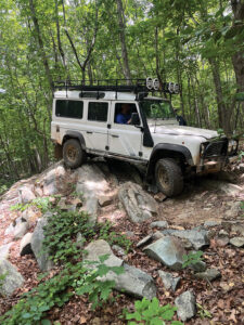 Wintergreen IMG 5906