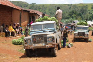 LANDITALIA AFRICA0000031