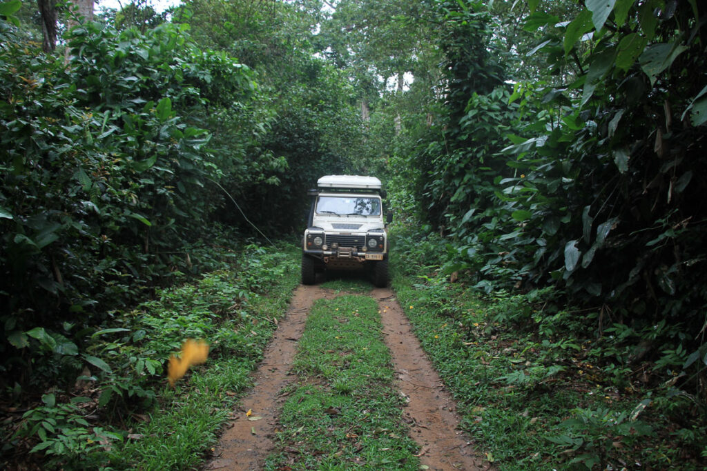 LANDITALIA AFRICA0000038