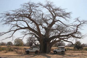 LANDITALIA AFRICA0000047