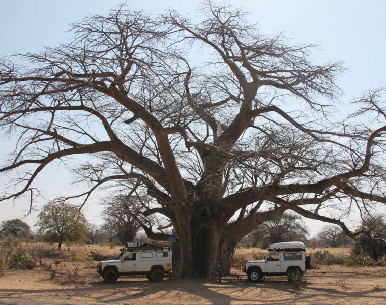 LANDITALIA AFRICA0000047