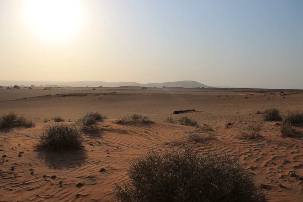 LANDITALIA AFRICA0000056
