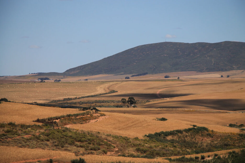 LANDITALIA AFRICA0000064