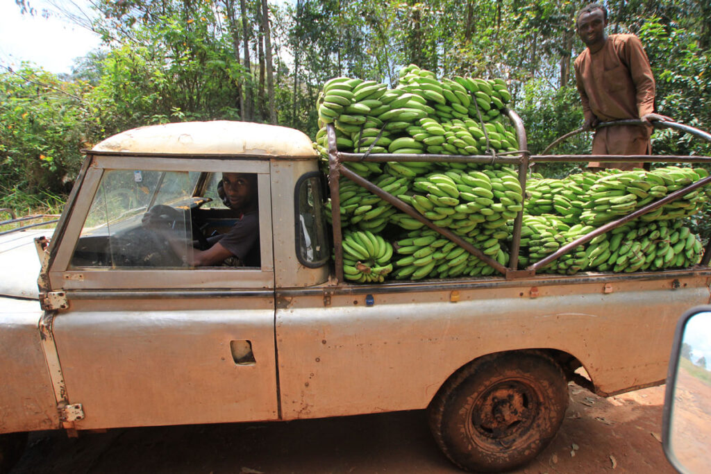 LANDITALIA AFRICA0000083